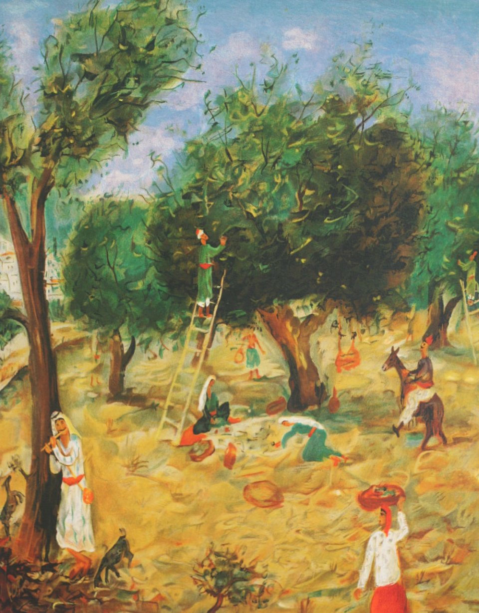 מסיק הזיתים