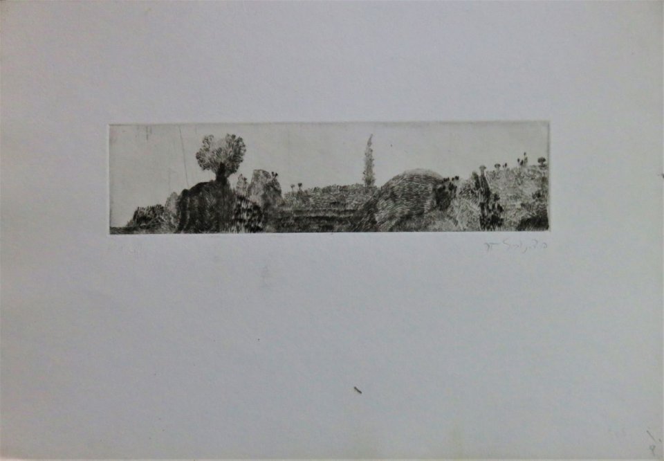 נוף עם ברוש, 1975