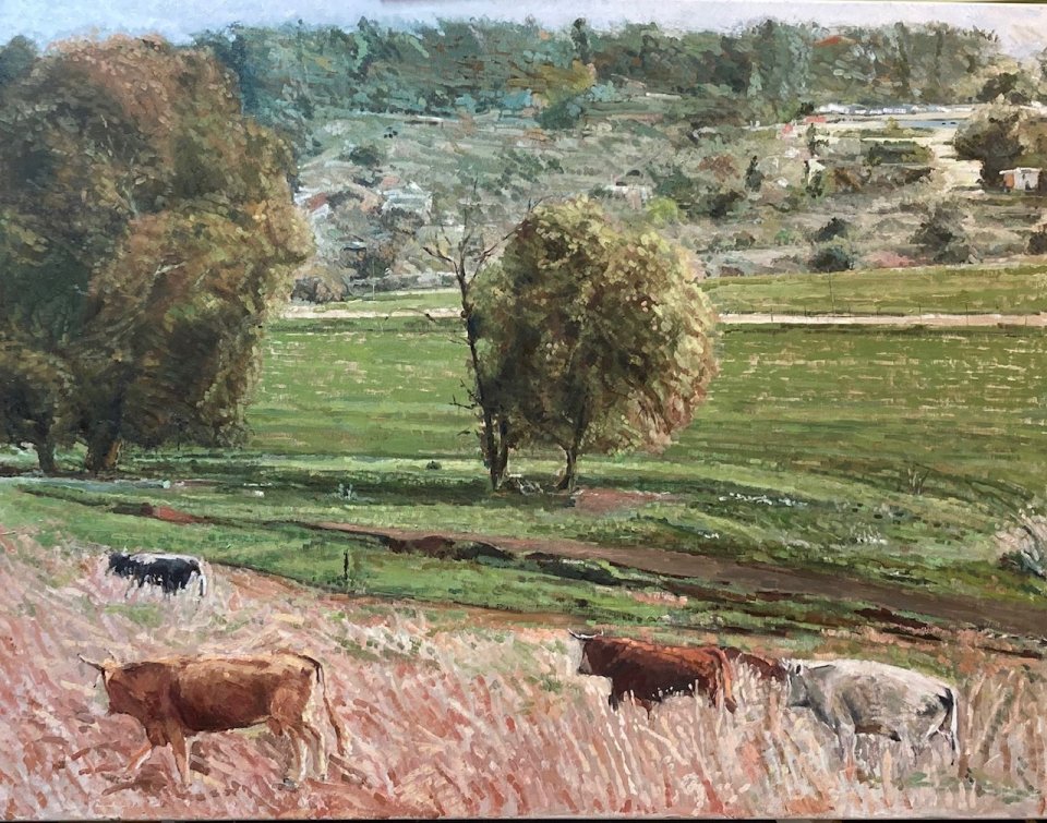 פרות בנוף