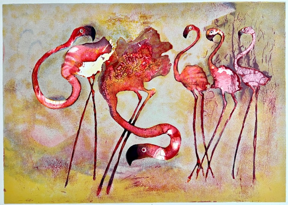 להקת פלמינגו