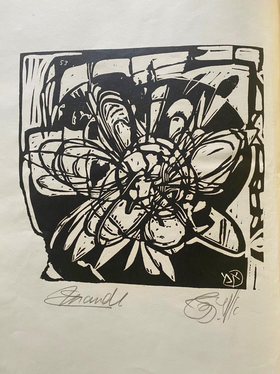 פרח, 1953