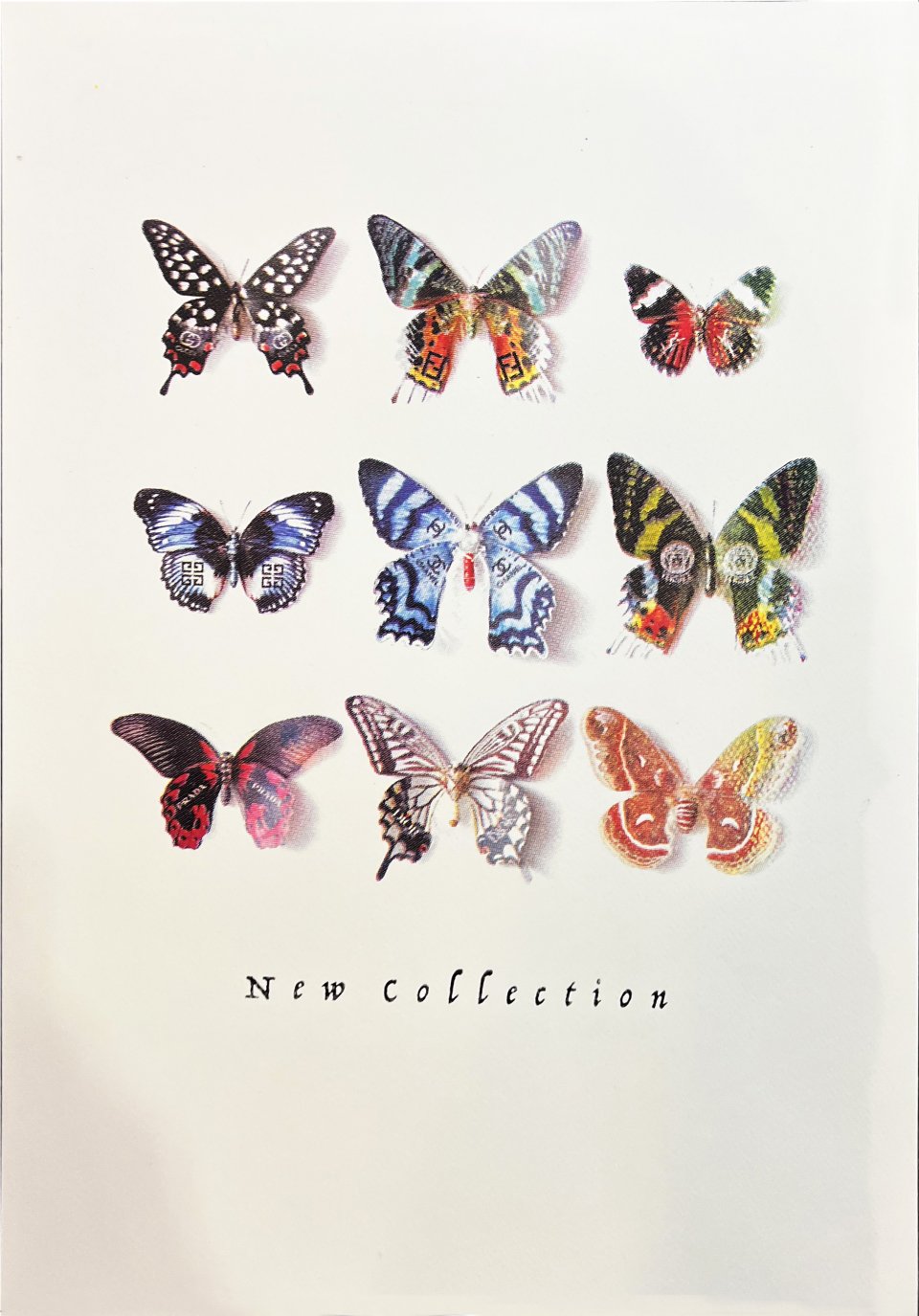 NEW COLLECTION