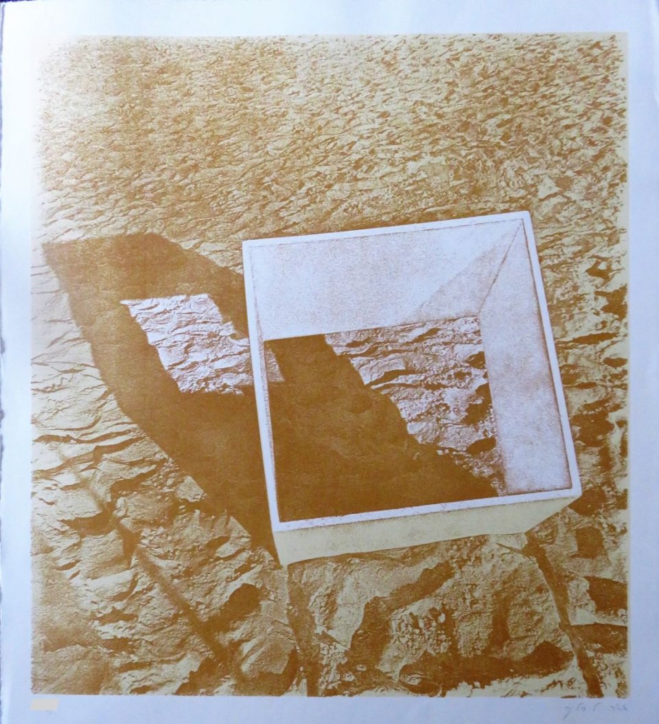 צל