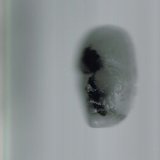 Moon 5