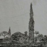 ברוש בשדה, 1975