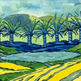 Oasis