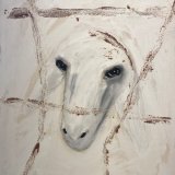 ראש כבש לבן אפור עם פסים חומים - נדיר!