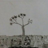עץ בשדה, 1975