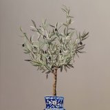 עץ הזית התחלה