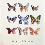 NEW COLLECTION