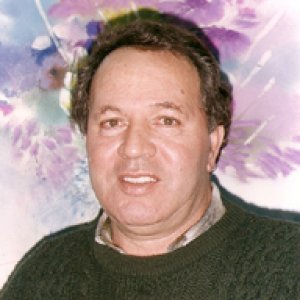 דן פרטוש