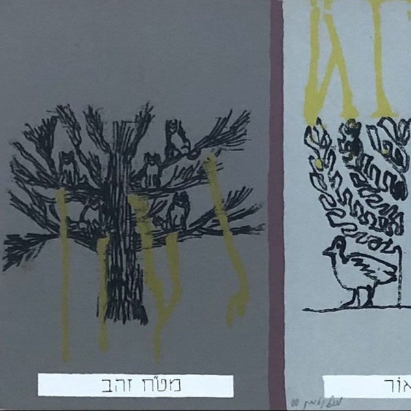 מיכל נאמן