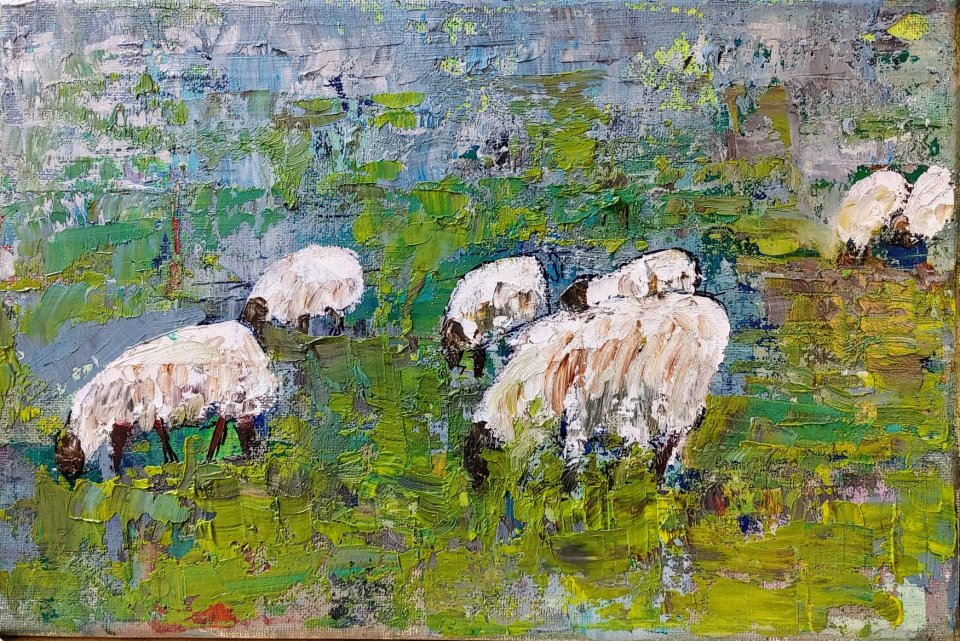 כבשים 5