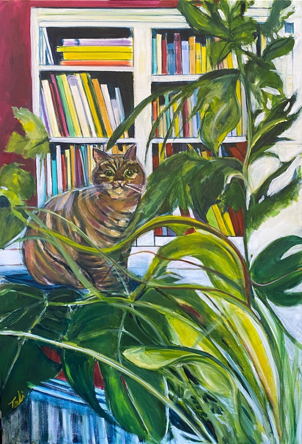 חתול ספריה