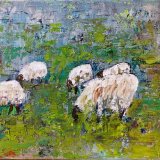 כבשים 5