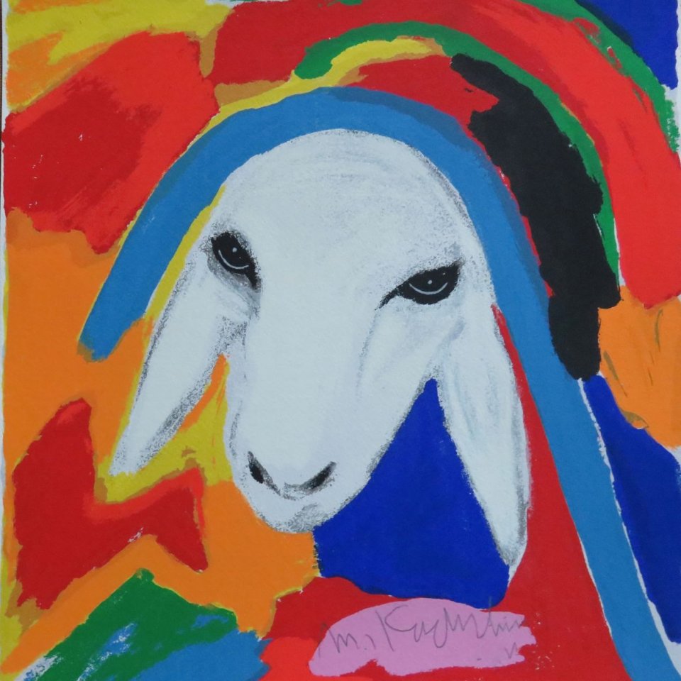 כבשה בלבן על רקע צבעוני