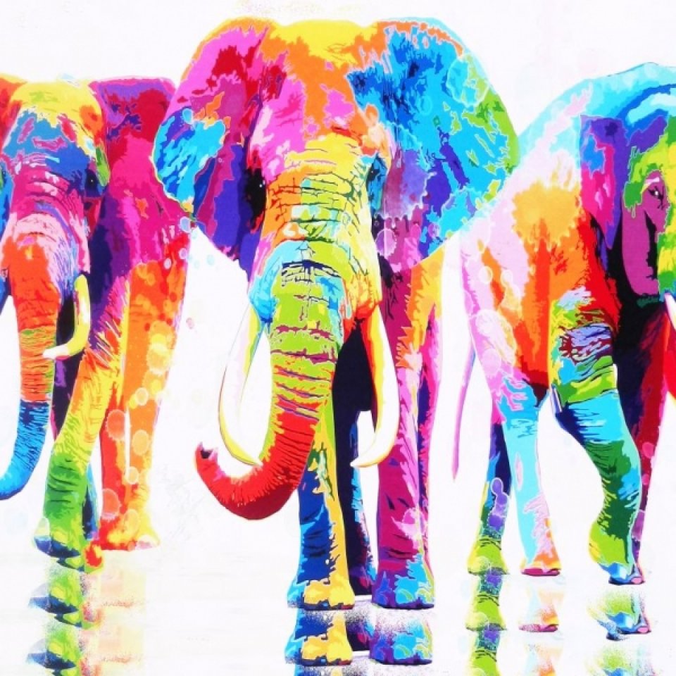 שלושה פילים צבעוניים