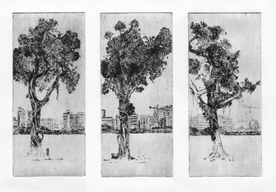 שלושה עצים